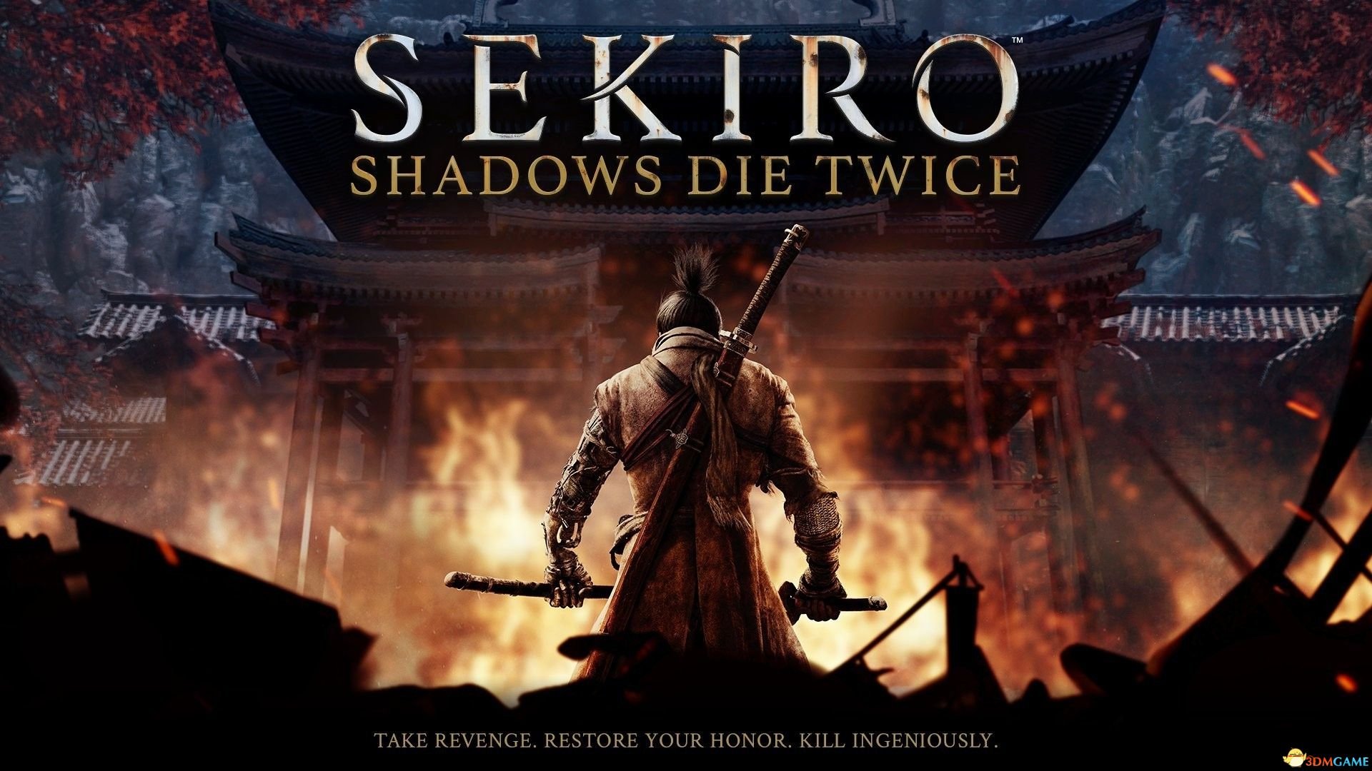 只狼：影逝二度 年度版