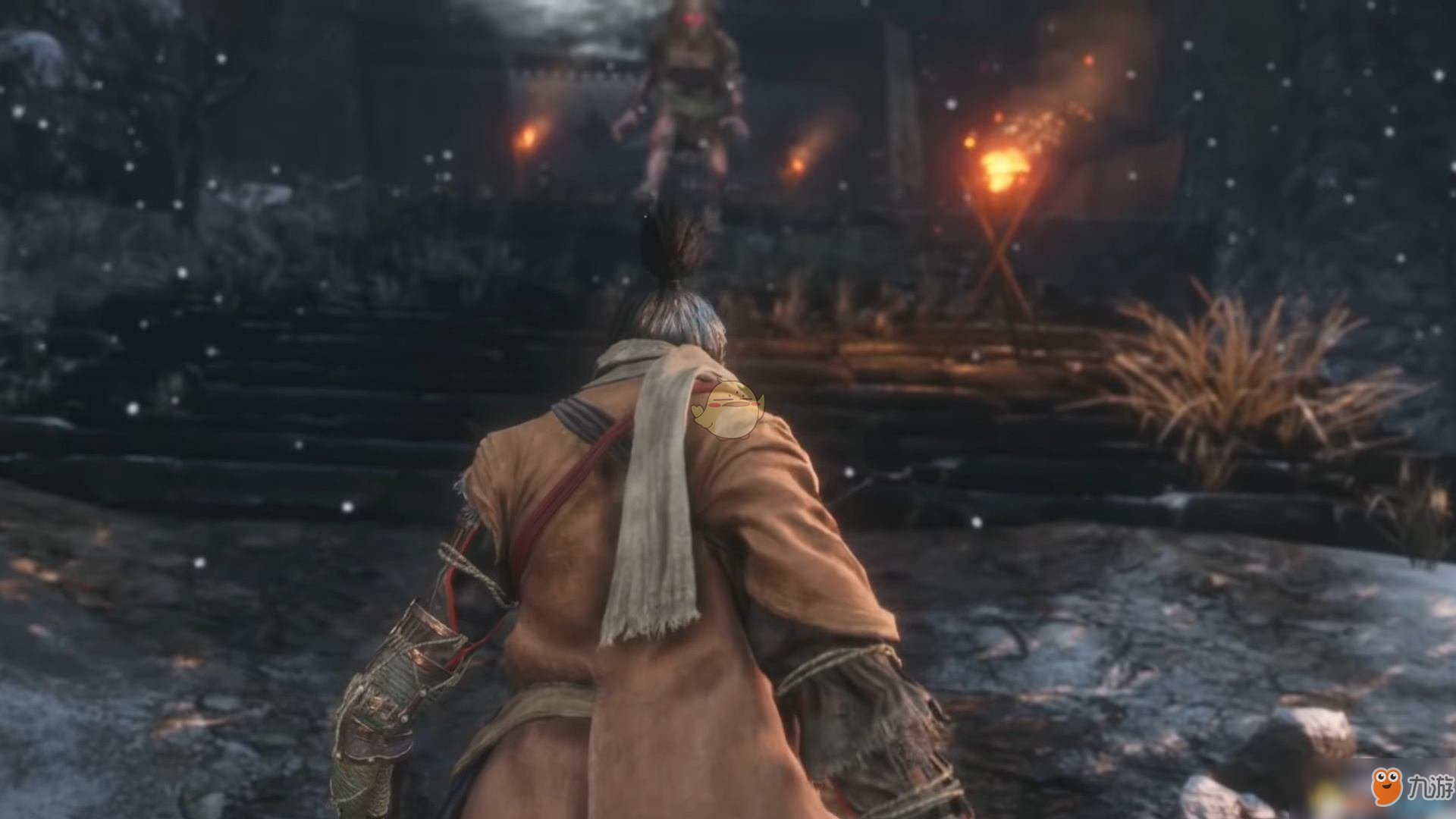 F1 2024 豪华版 截图17