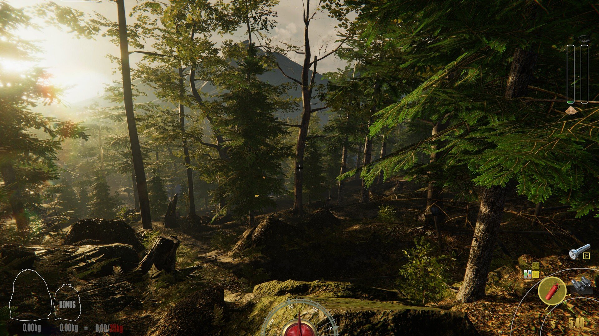 女神异闻录5 豪华版 截图21